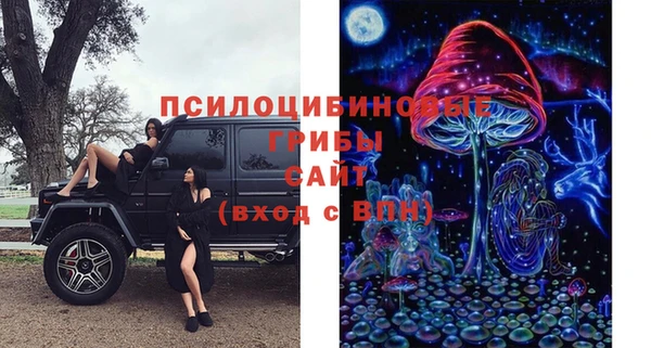 ГАЛЛЮЦИНОГЕННЫЕ ГРИБЫ Абинск