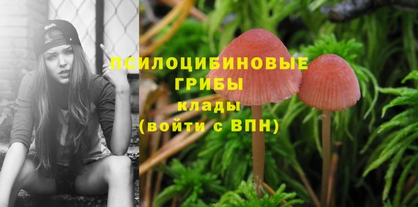 хмурый Абдулино