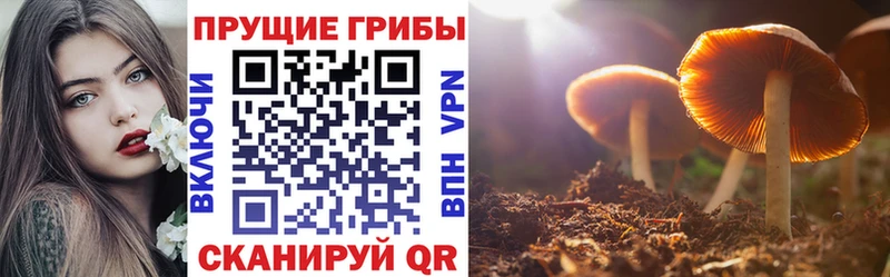 Псилоцибиновые грибы ЛСД  дарнет шоп  Туапсе 